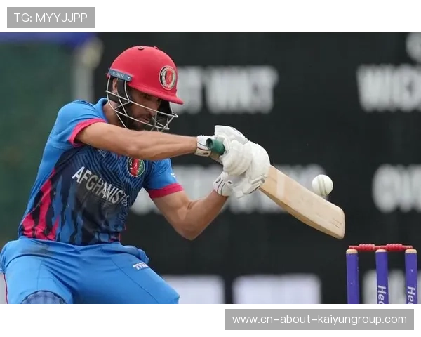 澳大利亚板球联赛精彩纷呈,各队激烈角逐,板球 澳大利亚